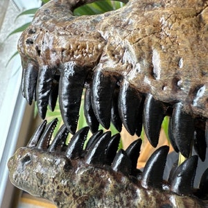 May include: A detailed view of a dinosaur skull, highlighting the textured surface and colour variations of the fossilised bone. The skull displays a set of sharp, black teeth, accentuating the creature's predatory nature. The colour scheme is a blend of browns and blacks.