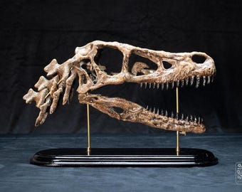 Handcrafted Victorian Dinosaur Velociraptor Skull Replica – Movable Jaw, Hardwood on Brass Stand