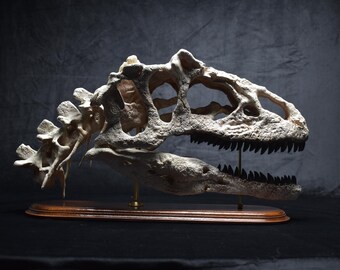 アロサウルス恐竜の頭蓋骨レプリカ｜博物館級の化石レプリカ、木製台座