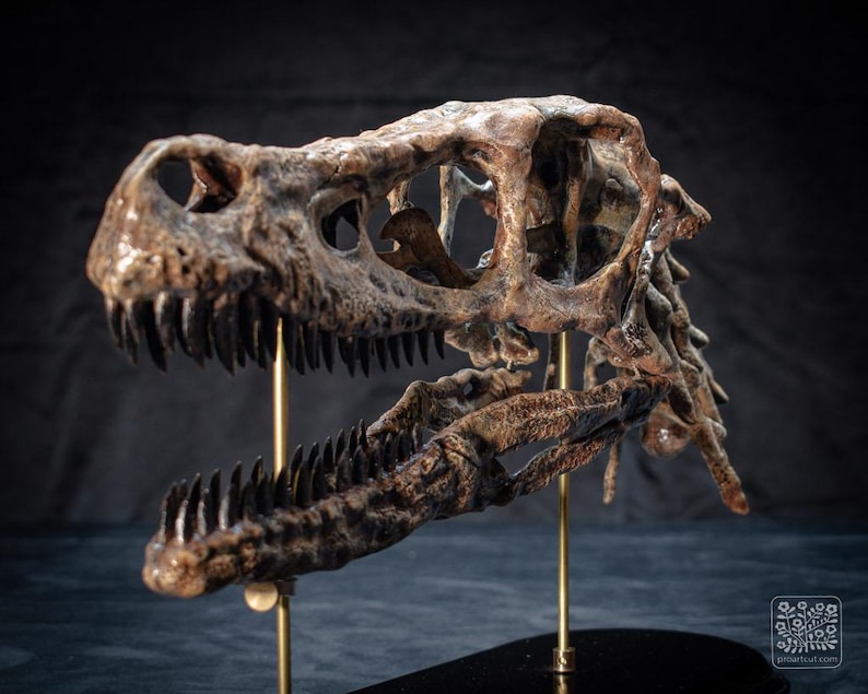 May include: A detailed, brown dinosaur skull with visible teeth and eye sockets, mounted on a gold stand. The fossilised skull is displayed against a dark background, showcasing its intricate bone structure and prehistoric form.
