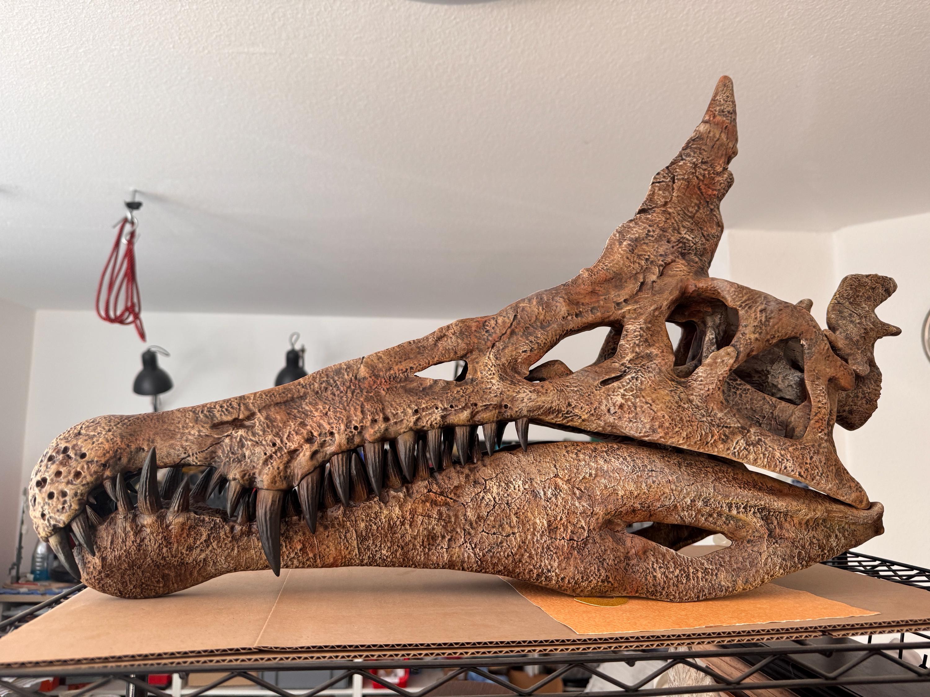 Spinosaurus skull - Etsy 日本