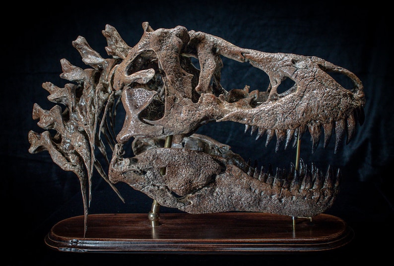Tyrannosaurus rex schedelreplica sculptuur op houten grondplaat Groot handgemaakt verzamelstuk van hoge kwaliteit afbeelding 1