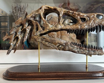 Big Velociraptor Dinosaur Skull replica in Victorian style with movable jaw - on hardwood and brass stand 1:1 Scale