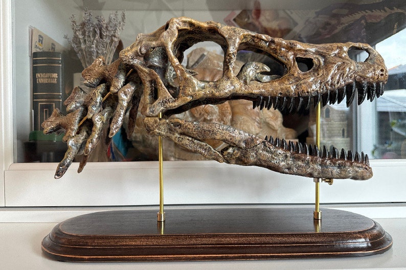 May include: A detailed replica dinosaur skull with a bone-coloured finish. The skull is mounted on a dark wooden base with brass supports, showcasing the intricate details of the fossilised structure. A unique decorative piece for the home.