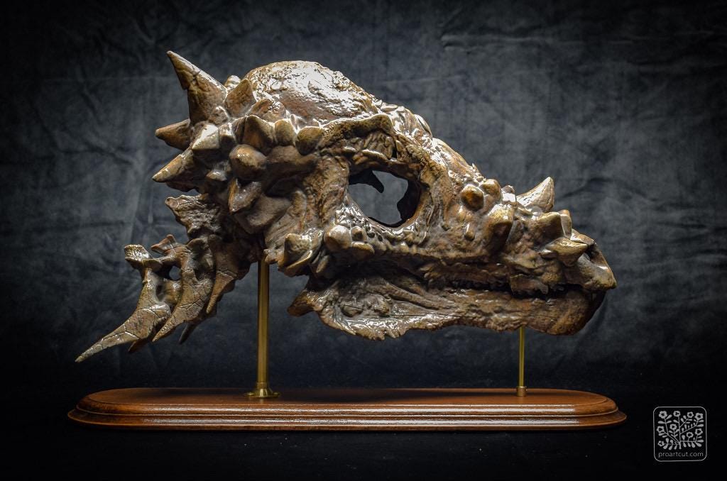 パキケファロサウルスの頭蓋骨レプリカ｜博物館級の化石レプリカ、木製