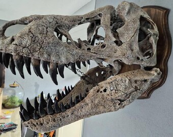 巨大T-Rex頭蓋骨レプリカ壁掛け – 70cmコレクターズアイテム - Etsy 日本