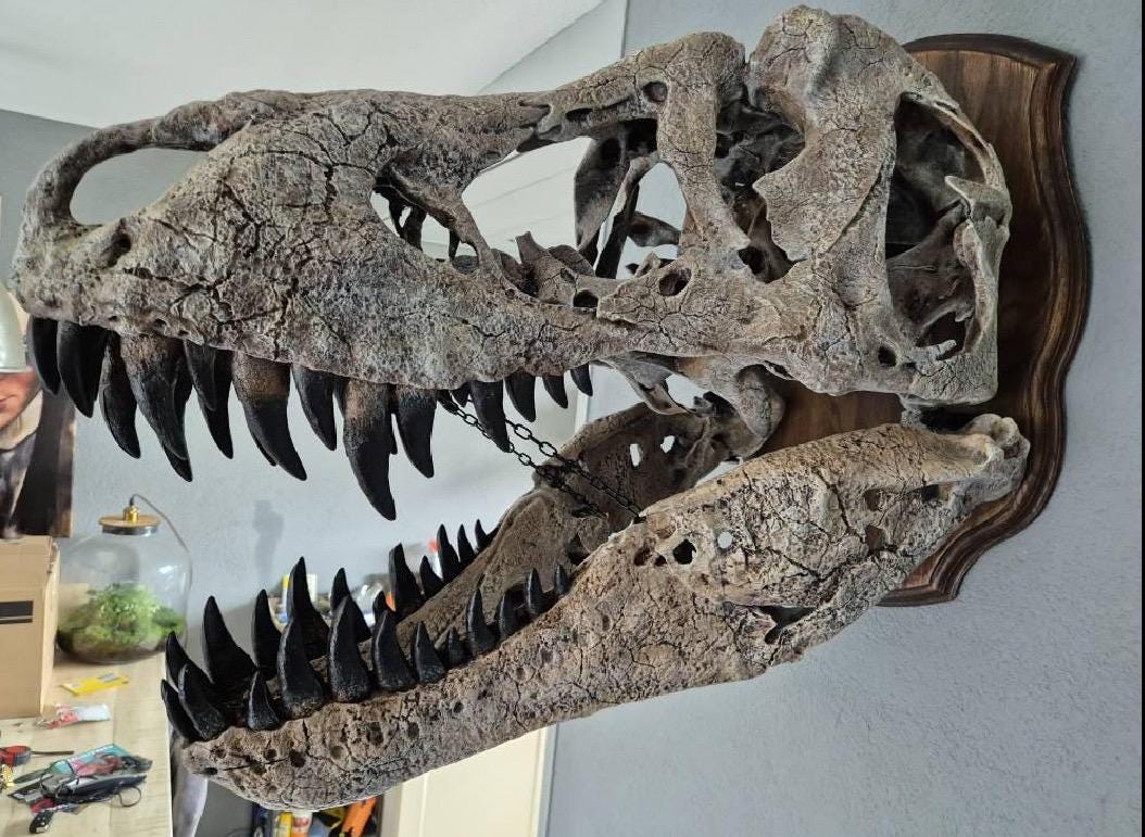 Crâne T-Rex XXL Sur Support Métal - Réplique Dinosaure 30x25 Cm - Décoration Luxe
