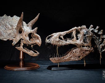 大型トリケラトプスの頭蓋骨レプリカ：3D化石スキャン、硬材ベース