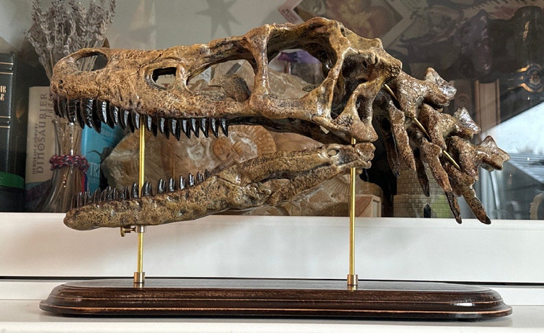 May include: A detailed replica dinosaur skull, displaying the intricate bone structure and sharp teeth. The skull is light brown, mounted on a wooden base with brass supports, creating a museum-like display. A unique piece for any dinosaur enthusiast.