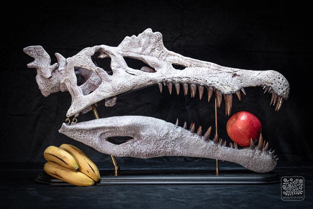 大型スピノサウルスの頭蓋骨レプリカ：手作りの化石スキャン、硬材