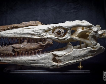 現在、この商品の在庫はありません - Etsy