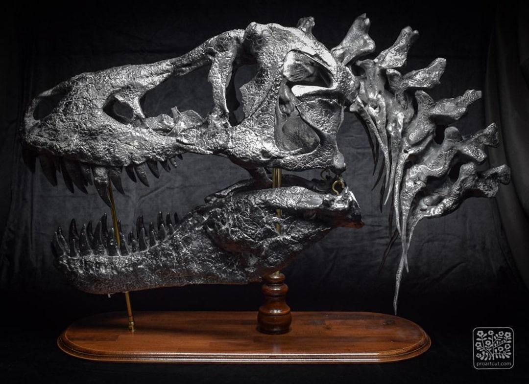 巨大なT-Rexの頭蓋骨のレプリカ：110cm - 43インチの木製台座付き
