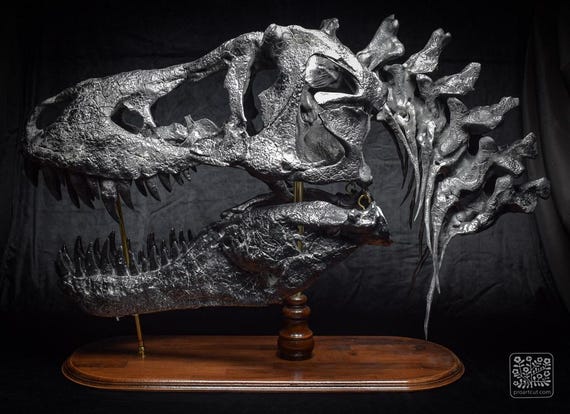 巨大なT-Rexの頭蓋骨のレプリカ：110cm - 43インチの木製台座付き