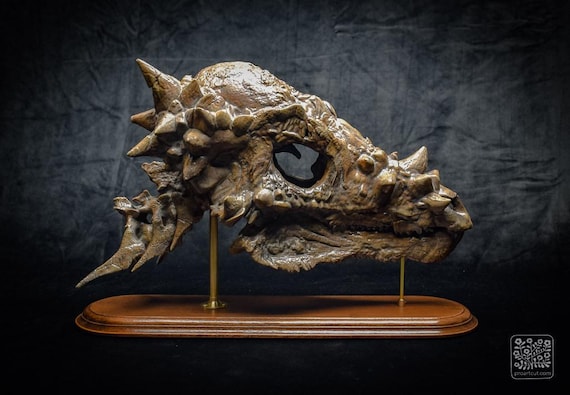 パキケファロサウルスの頭蓋骨レプリカ｜博物館級の化石レプリカ、木製