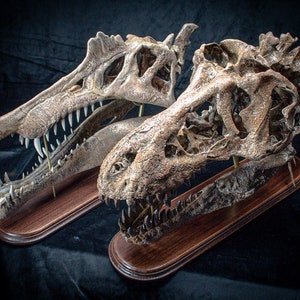 Tyrannosaurus rex skull replica sculpture on wooden baseplate Big high quality handmade collector piece image 7