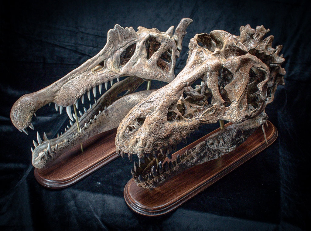 手作りのT-Rexの頭蓋骨化石レプリカ - 博物館品質の恐竜彫刻 - Etsy 日本