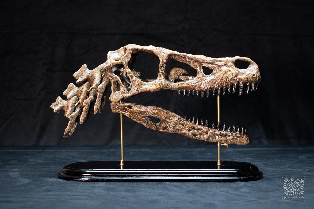 ヴィクトリア朝時代のヴェロキラプトルの頭蓋骨レプリカ - 可動式の顎