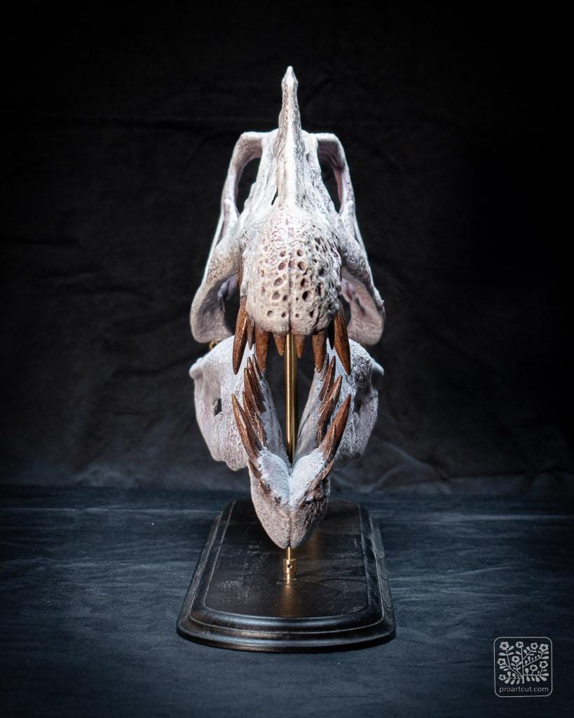 大型スピノサウルスの頭蓋骨レプリカ：手作りの化石スキャン、硬材