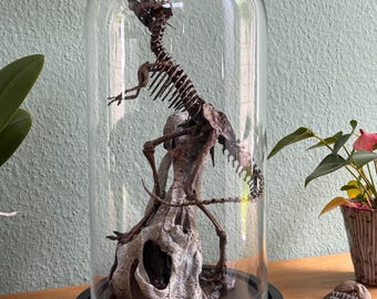 Limited Edition Baby T. Rex Replica – Museum-Quality 1:1 Scale – Only 30 Pieces Worldwide!