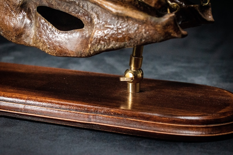 Op de afbeelding: Een close-up van een bruin masker, waarschijnlijk voor weergave, gemonteerd op een houten voet. Het masker heeft een getextureerd oppervlak en wordt ondersteund door een messingkleurige verstelbare standaard. De houten voet is donkerbruin met een gepolijste afwerking.
