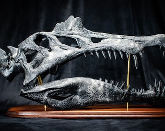 Spinosaurus Skull Replica Wooden Base - Museum Quality (56cm Black)