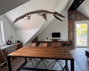 Mosasaurus hoffmannii full skeleton replica - 2m or 79” or 6.6 feet long - museum quality