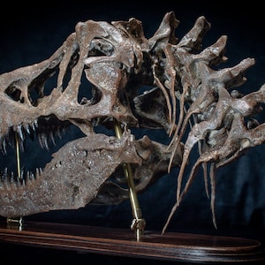 Tyrannosaurus rex skull replica sculpture on wooden baseplate Big high quality handmade collector piece image 9