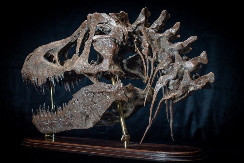 Tyrannosaurus rex skull replica sculpture on wooden baseplate Big high quality handmade collector piece image 9