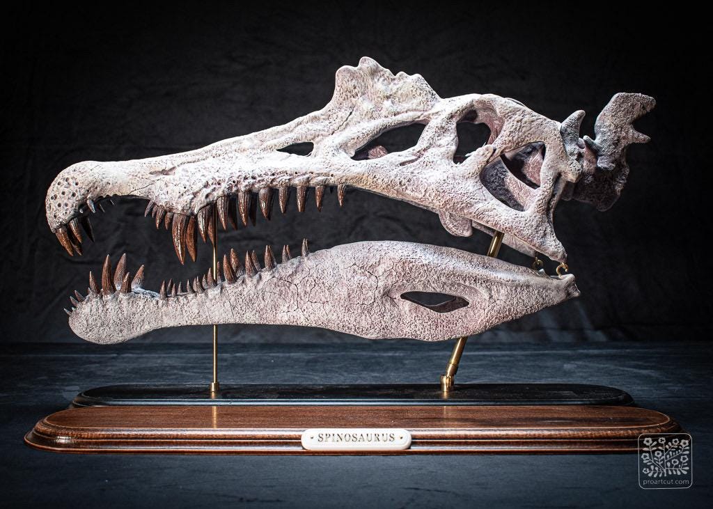 大型スピノサウルスの頭蓋骨レプリカ：手作りの化石スキャン、硬材