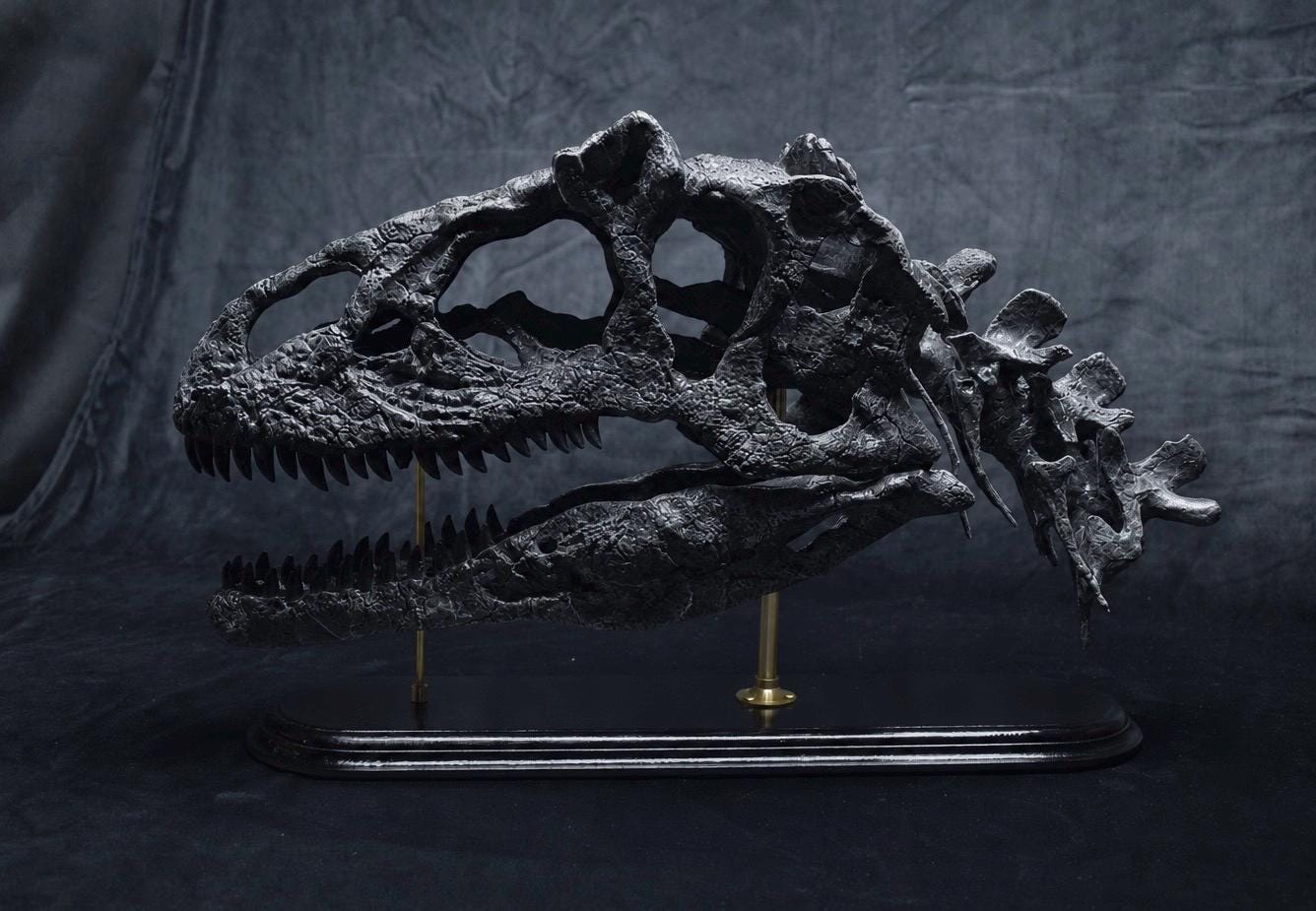 アロサウルス恐竜の頭蓋骨レプリカ｜博物館級の化石レプリカ、木製台座