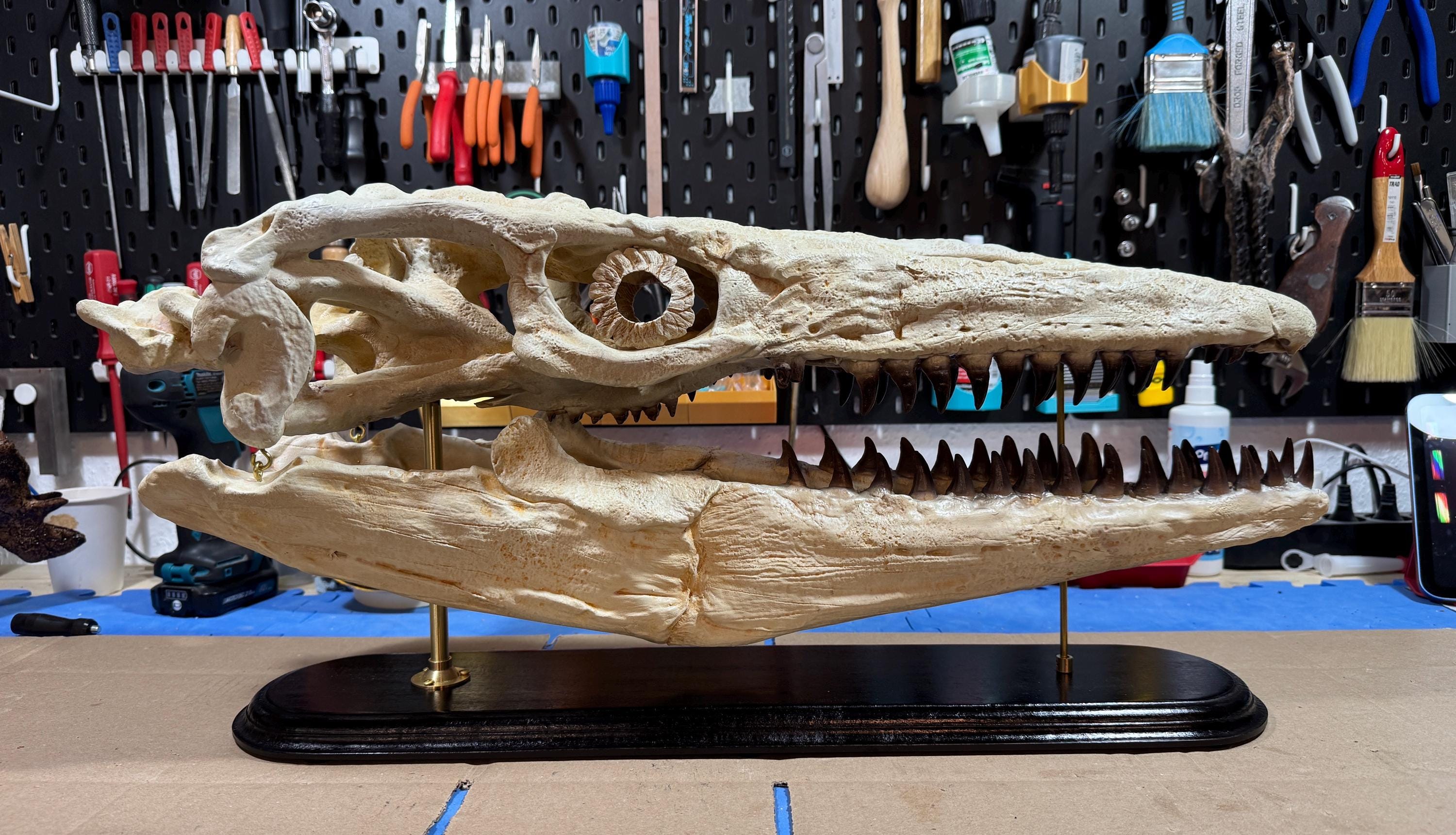 Large Mosasaurus Skull Replica - Dinosaur Fossil on Wooden Baseplate - Museum Quality - Etsy
