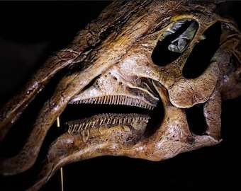 パラサウロロフス・ワルケリの頭蓋骨化石レプリカ：博物館級の品質、硬