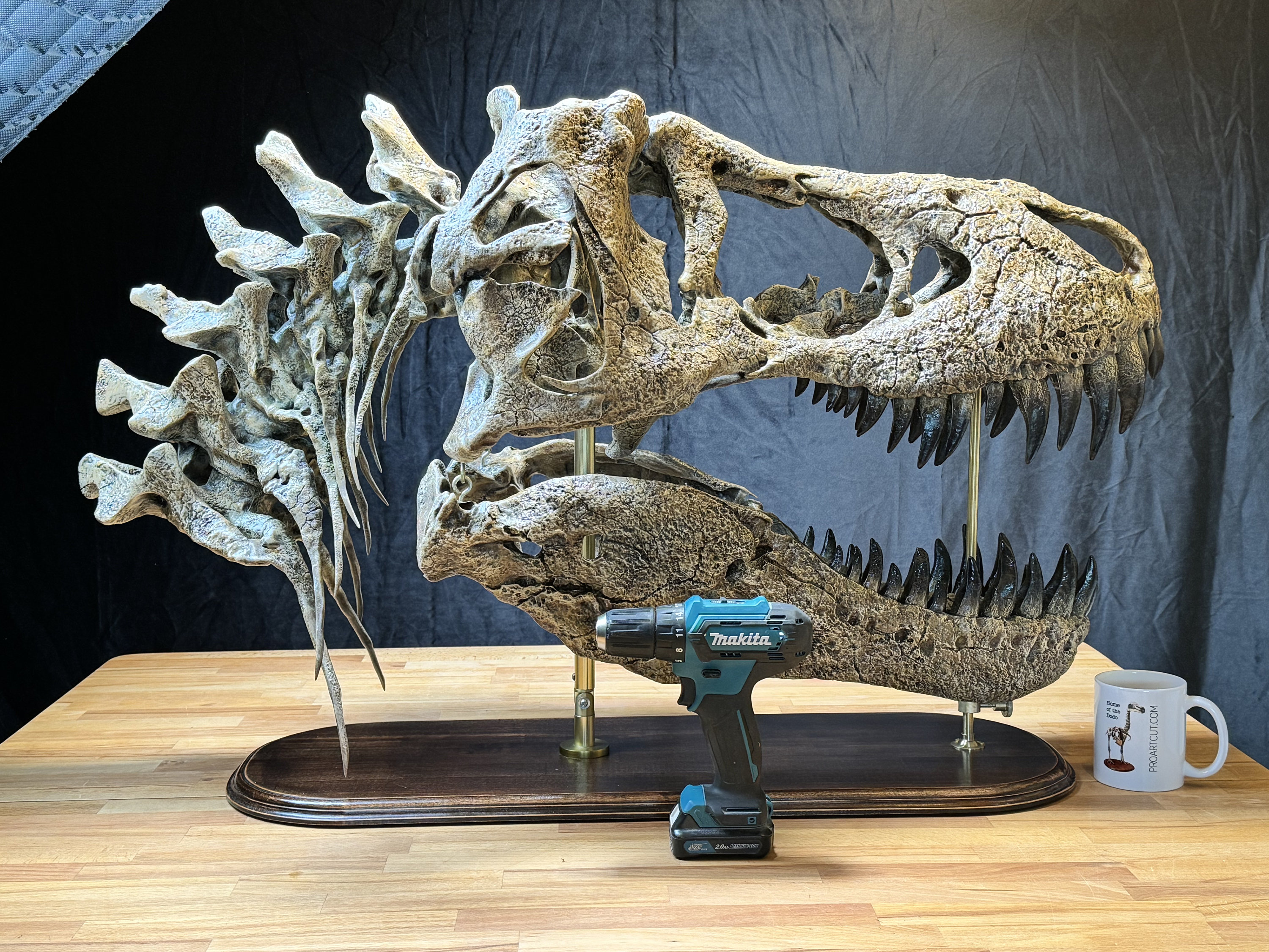 ハウライト　恐竜の頭蓋骨の彫り物　特大 巨大なT-Rexの頭蓋骨のレプリカ：110cm - 43インチの木製台座付き