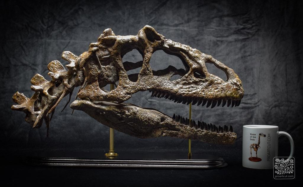アロサウルス恐竜の頭蓋骨レプリカ｜博物館品質の化石複製、木製ベース