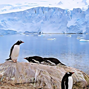 Penguin Sentinel
