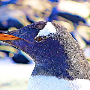 Penguin Profile
