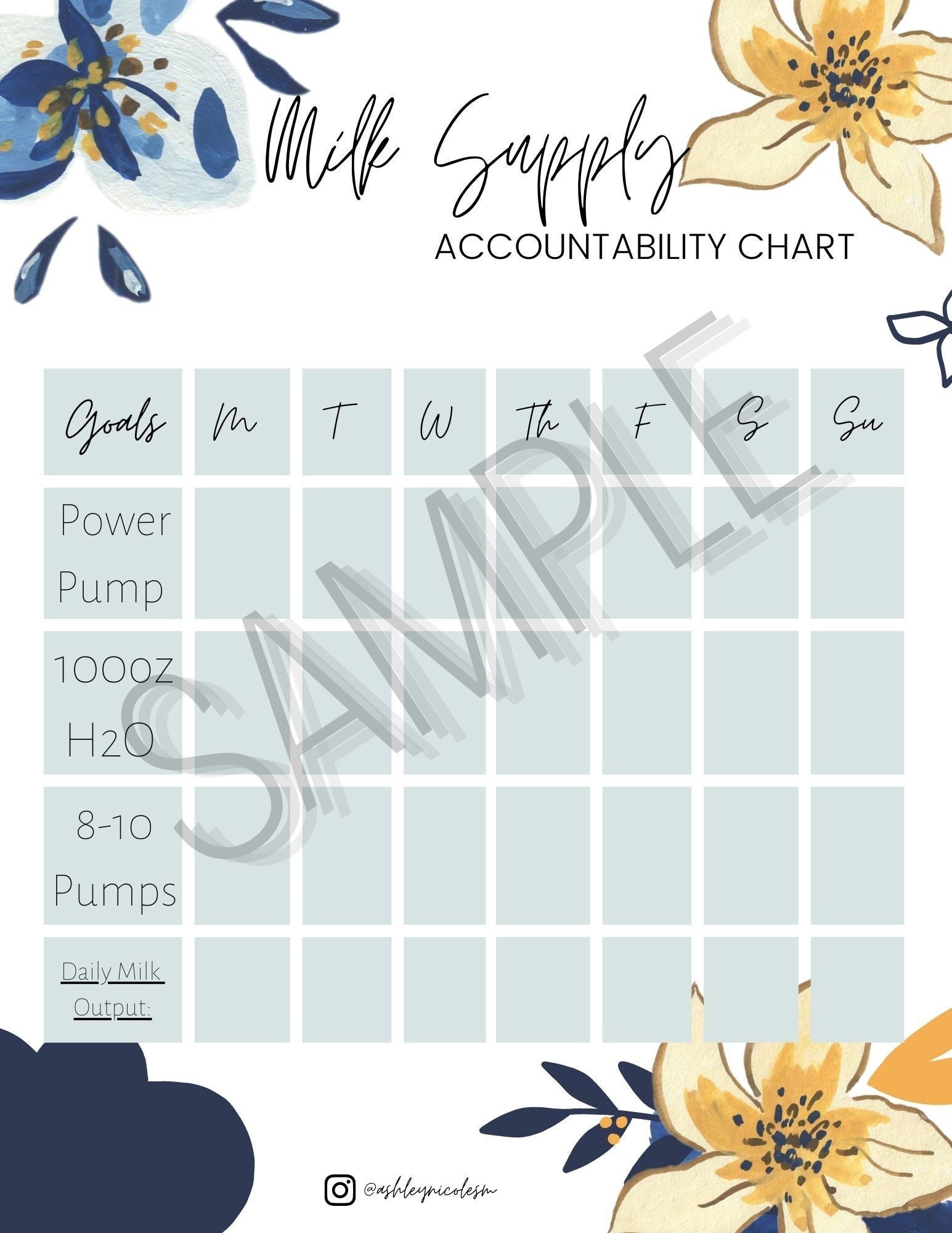 A Pumping Moms Accountability Chart - Etsy