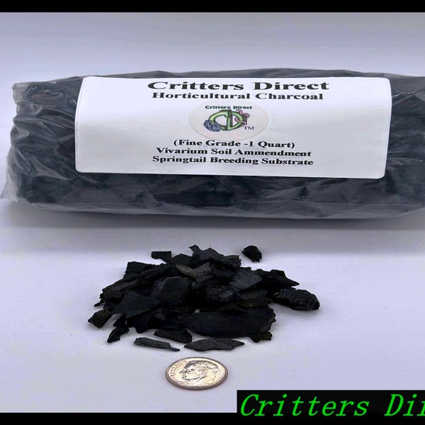 Activated Horticultural Charcoal, Vivarium Soil Amendment and Springtail Breeding Substrate