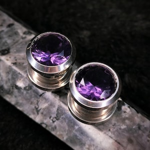 May include: Two silver ear gauges with purple gemstone inserts. The gauges are round and have a smooth, polished finish.