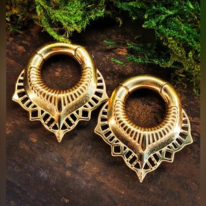 Ear gauge organizer shop