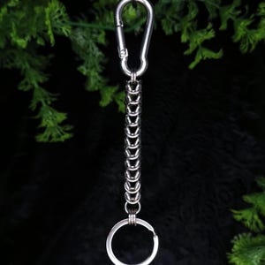 May include: A silver keychain featuring a carabiner clip, a chain of interlocking links, and a split ring. The background is dark with green foliage.