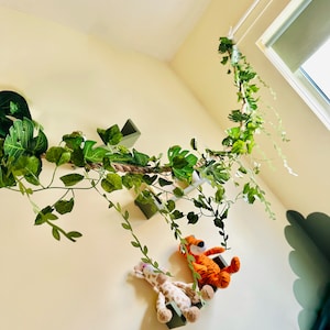 Long hanging jungle safari dinosaur Jurassic theme leafy vine for bedroom nursery playhouse garden room
