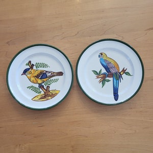 Set of 2 Vintage Bird Plates - Macaw and Oriole - Made in Italy - Italian Pottery - Bird Collector Plates
