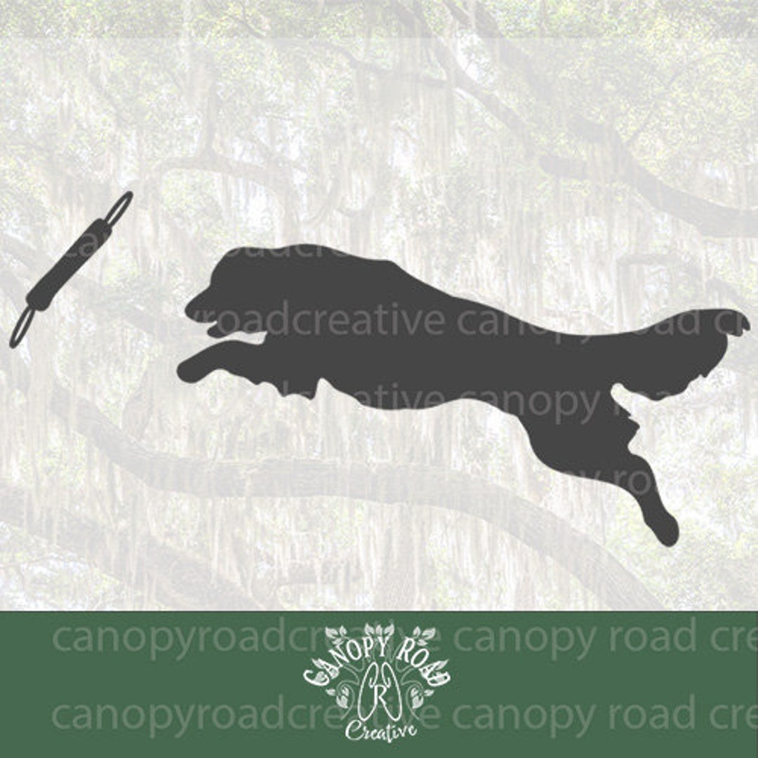 Dock Diving Golden Retriever Etsy