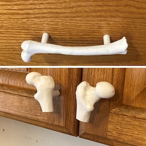 May include: A white cabinet handle shaped like a long bone, along with two white cabinet knobs shaped like the top of a femur bone. These hardware pieces are mounted onto wooden cabinet doors, featuring a matte finish and realistic bone textures.