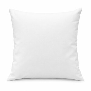 May include: A square throw pillow featuring a solid, plain white fabric cover. The pillow has a smooth, uniform texture and clean, straight edges, presenting a simple and neutral appearance suitable for various home decor settings and arrangements.
