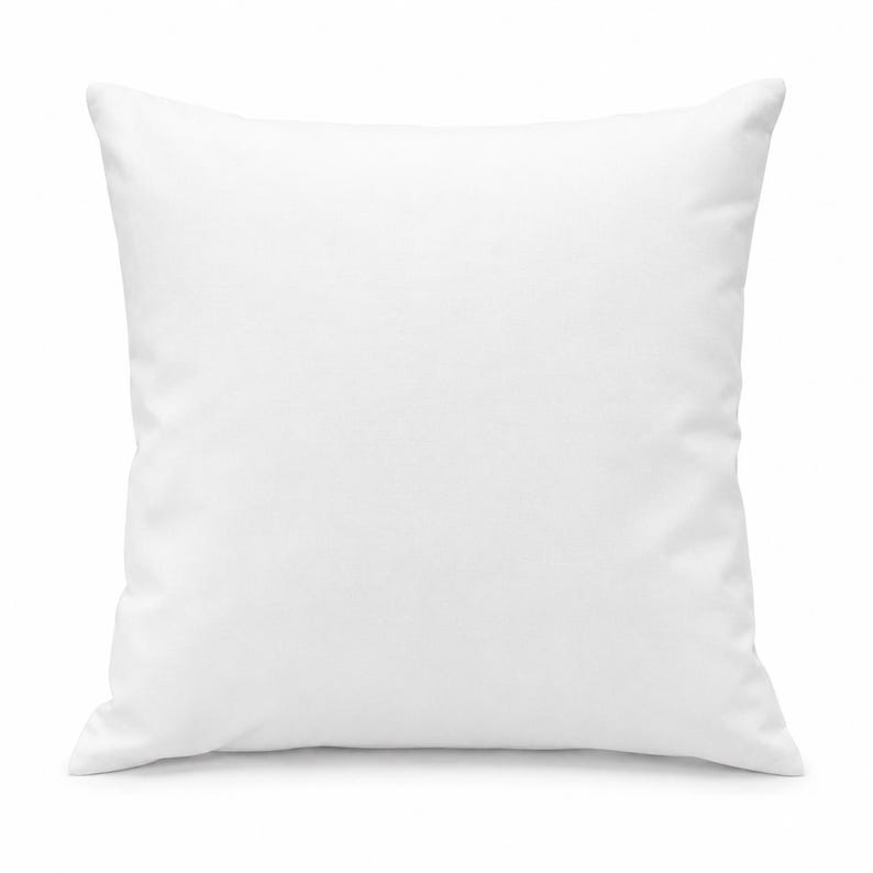 May include: A square throw pillow featuring a solid, plain white fabric cover. The pillow has a smooth, uniform texture and clean, straight edges, presenting a simple and neutral appearance suitable for various home decor settings and arrangements.