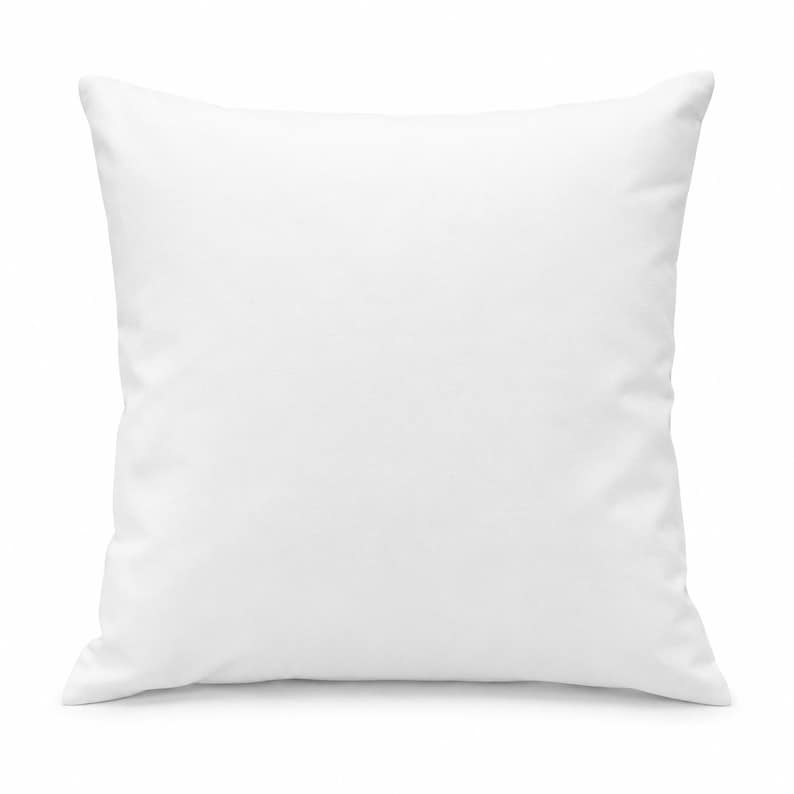 May include: A square throw pillow featuring a solid, plain white fabric cover. The pillow has a smooth, uniform texture and clean, straight edges, presenting a simple and neutral appearance suitable for various home decor settings and arrangements.
