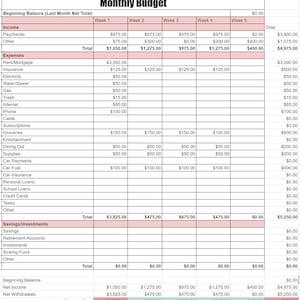 May include: A monthly budget spreadsheet with columns for income, expenses, savings, and net monthly total. The spreadsheet includes categories for paychecks, rent, utilities, groceries, car payments, and more. The spreadsheet shows a beginning balance of $0.00 and a net monthly total of -$2,775.00.