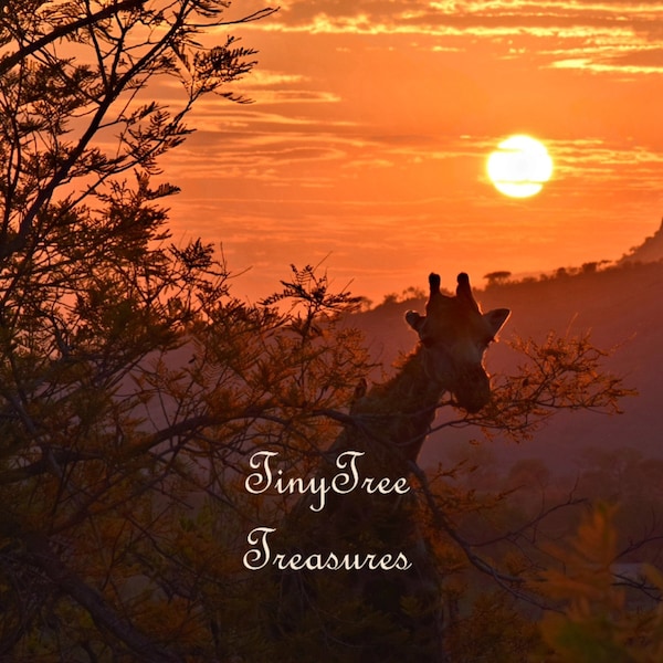 African Sunrise Giraffe Instant Download, High Resolution Digital Image, DIY Crafts, Clipart, Printable, JPG, Africa, Safari